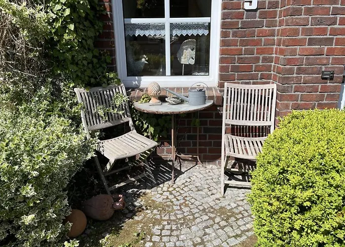 公寓 Auf-zum-meer 1 卡罗利嫩西尔